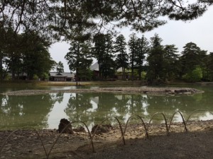 Oizumi ga Ike Pond: Stones were carried from the sea to create the rock garden surrounding the pond. - Rony Ballouz