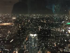 A view from the Sky Circus at the 60th floor of the Sunshine City Mall. Tokyo amazes me. Those lights just go on forever… - Daniel Gilmore