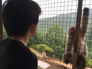 In Arashiyama, Donald learned to communicate with monkeys through lip smacking. This is what happens when there’s a wall between you. When there’s no wall, the monkey will charge at you and you will need to deflect it with your umbrella. - Daniel Gilmore