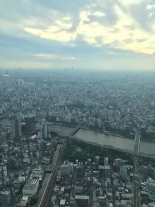 The incredible view from Tokyo Skytree showing just truly vast and dense Tokyo is. - Haihao Liu