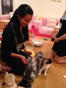 Hapineko Cat Café: Played with the cats while being served tea and biscuits