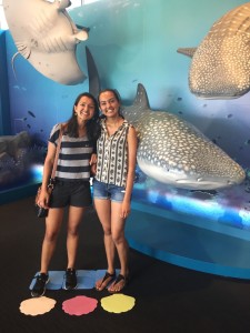 Kaiyukan Aquarium, Osaka: Enjoyed my sister’s last day in Japan by going to one of the largest aquariums in the world, followed by a ride on the Tempozan Ferris Wheel. ~ Shweta Modi