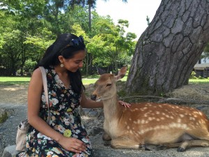Nara Park: Spent the morning feeding the deer roaming around the park. ~ Shweta Modi 