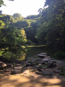 University of Tokyo: Beautiful little pond hidden in a small part of Todai. - Youssef Tobah