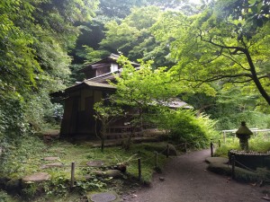 Sankeien Garden, Yokohama: Besides being gorgeous in general, it looked like a scene right out of a Studio Ghibli movie. 