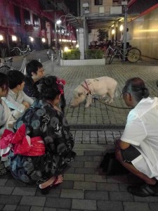 Tonkatsu: We also found a pet pig whose name was Tonkatsu. ~ Sasha Yamada