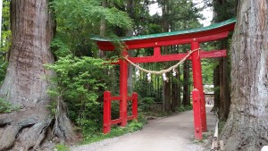 Torii: “Not many young people in Japan know this, but all of the old people do. Whenever I am walking down the road, notice how I walk to the side. I do this out of respect; the center of the road is for the road god.” - Nickolas Walling