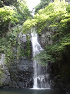 On Saturday, Tomo and I went to Minoo Waterfall! We browsed through small, hidden gem kind of shops, hiked to an amazing waterfall, and talked to an old lady who beamed with energy and excitement. Tomo is my language partner and she has taught me so much about Japan, language, and just helping me with life in Osaka. ~ Donald Swen 